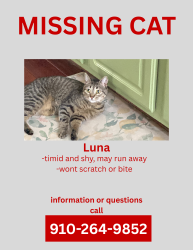 Lost Female Cat last seen Near Nottingham Dr. Lawrenceville GA 30046, Lawrenceville, GA 30046