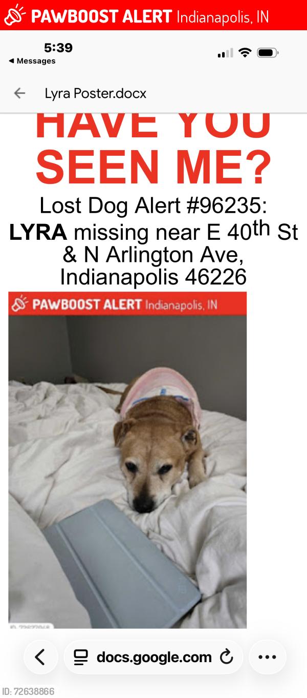 Lost Male Dog last seen N Webster ave , Indianapolis, IN 46226