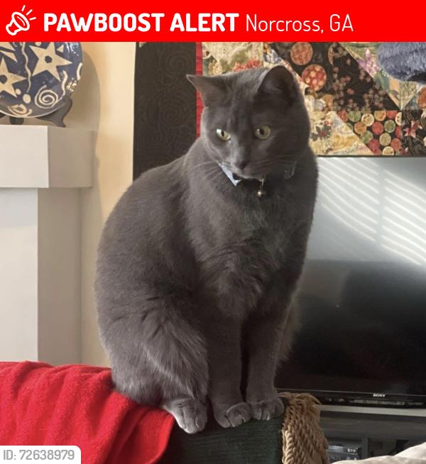 Lost Female Cat last seen Corner of Windmere and Bailey, Norcross, GA 30071