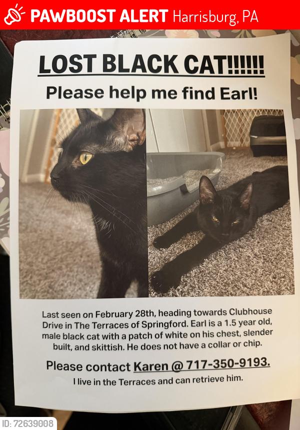 Lost Male Cat last seen The Terraces at Springford , Harrisburg, PA 17111
