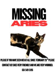 Lost Female Cat last seen Noriega and old farm, Bakersfield, CA 93312