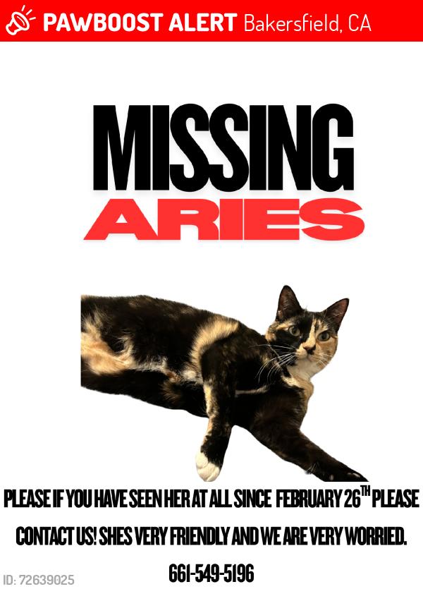 Lost Female Cat last seen Noriega and old farm, Bakersfield, CA 93312