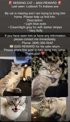 Lost Male Cat last seen Loop 289 , Lubbock, TX 79416