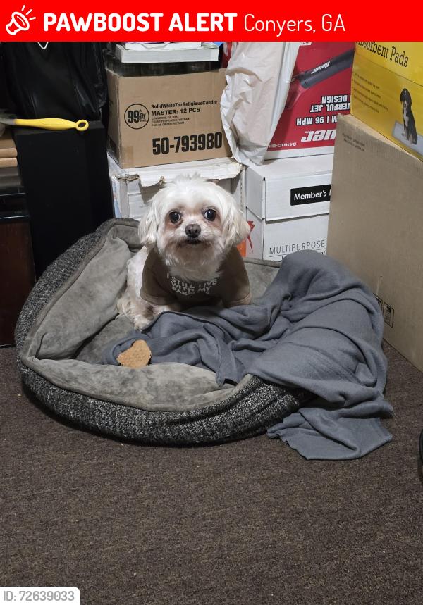 Lost Female Dog last seen Stanton Road near Ebenezer , Conyers, GA 30094