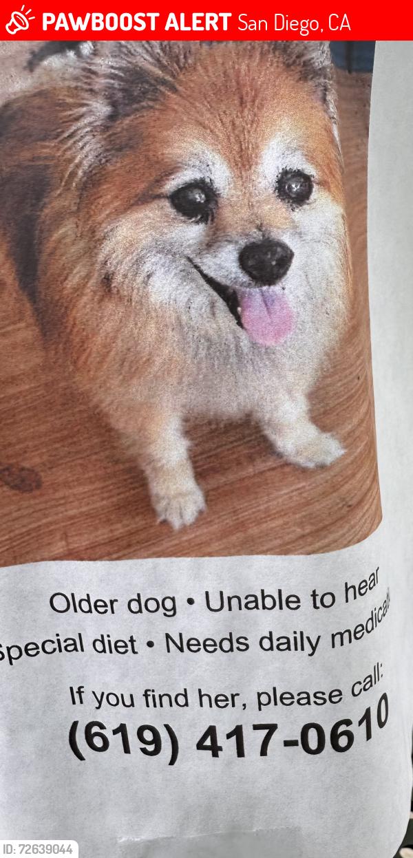 Lost Female Dog last seen Arcturus and bootes, San Diego, CA 92126