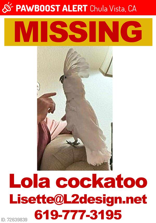 Lost Female Bird last seen Sequoia and Arguello, Chula Vista, CA 91911