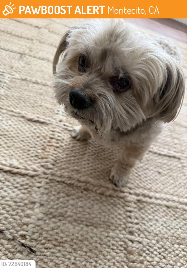 Found/Stray Male Dog last seen Lilac , Montecito, CA 93108