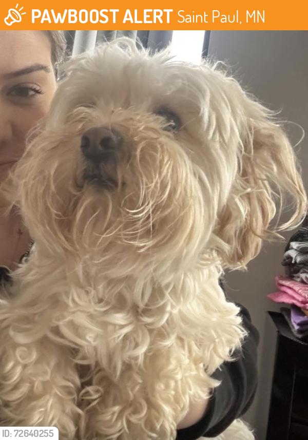 Found/Stray Unknown Dog last seen Mackubin and Minnehaha Ave West, Saint Paul, MN 55103