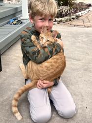 Lost Male Cat last seen Robison Elementary , Cypress, TX 77429