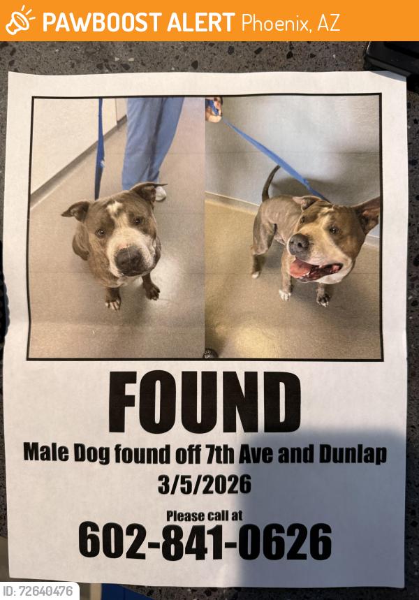 Found/Stray Male Dog last seen 7th Avenue & Dunlap, Phoenix, AZ 85021