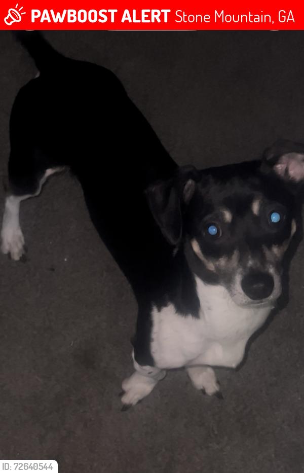 Lost Male Dog last seen Near Bahia mar cr. Stone mtn, Stone Mountain, GA 30087