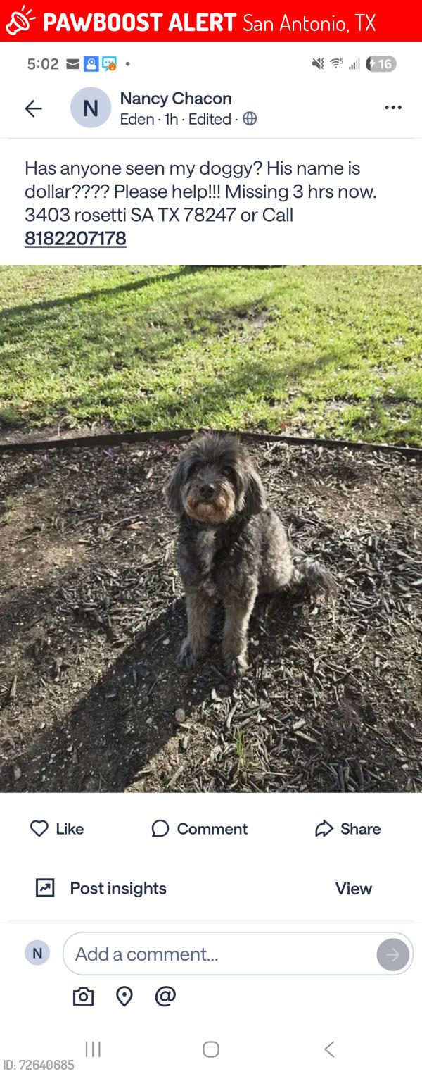 Lost Male Dog last seen Eden, San Antonio, TX 78247