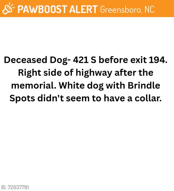 Found/Stray Unknown Dog last seen Before exit 194 right side of highway after the memorial spot., Greensboro, NC 27406