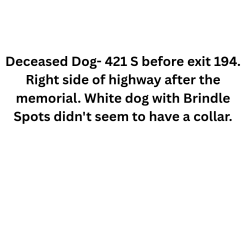 Found/Stray Unknown Dog last seen Before exit 194 right side of highway after the memorial spot., Greensboro, NC 27406