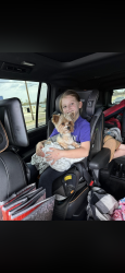 Lost Male Dog last seen Buffalo Gap Roaf, Buffalo Gap, TX 79508