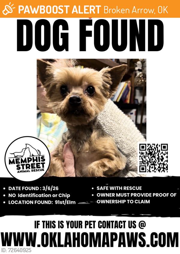 Found/Stray Unknown Dog last seen 91st/Elm, Broken Arrow, OK 74012