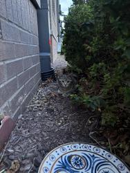 Found/Stray Unknown Cat last seen Jefferson st, Nashville, TN 37232