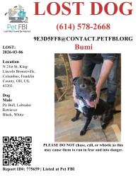 Lost Male Dog last seen old towne east , Columbus, OH 43203