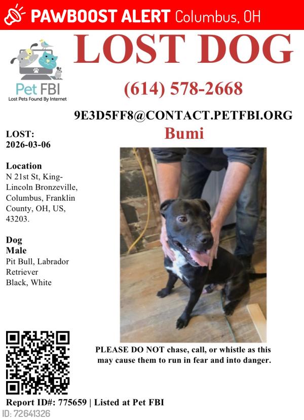 Lost Male Dog last seen old towne east , Columbus, OH 43203