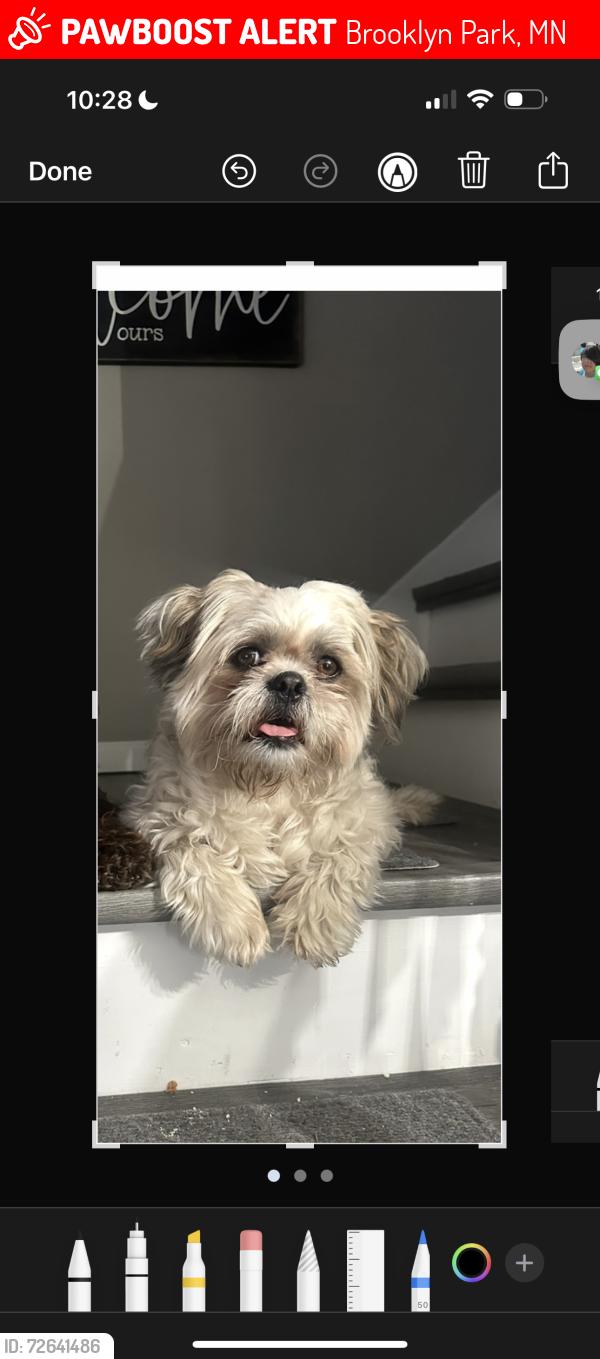 Lost Male Dog last seen Near , Brooklyn Park, MN 55443