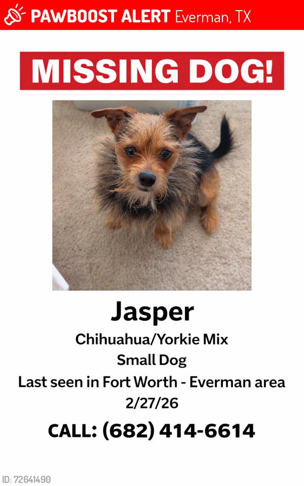 Lost Male Dog last seen Everman , Everman, TX 76140