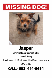 Lost Male Dog last seen Everman , Everman, TX 76140