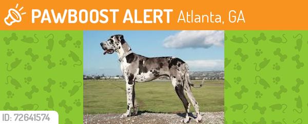 Found/Stray Unknown Dog last seen Near Hollywood Rd. NW Atlanta 30318, Atlanta, GA 30318