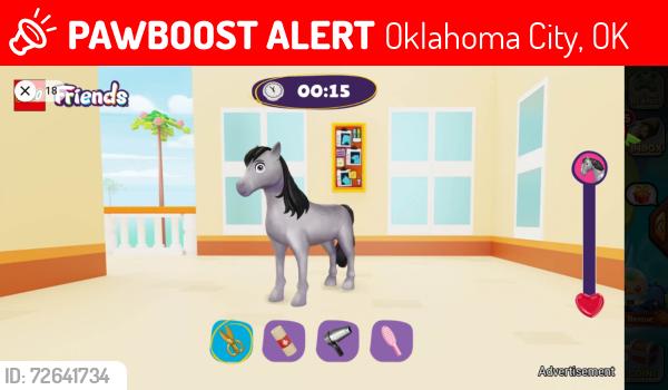 Lost Female Cat last seen Braums, Oklahoma City, OK 73149