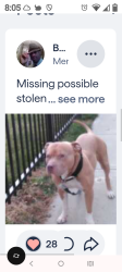 Lost Male Dog last seen Historic Dorchester apts, Indianapolis, IN 46205