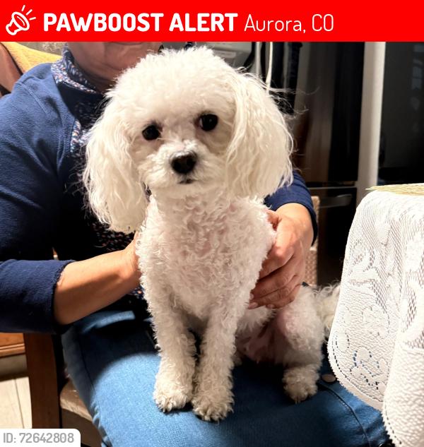 Lost Female Dog last seen Apartamentos Landon park por la calle sable y alameda ave. , Aurora, CO 80012