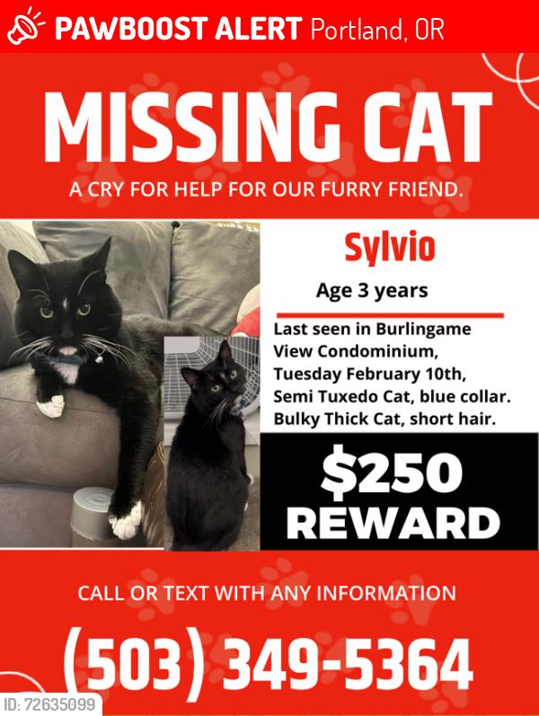Lost Male Cat last seen Near sw Bertha blvd and Fred Meyer Burlingame , Portland, OR 97219