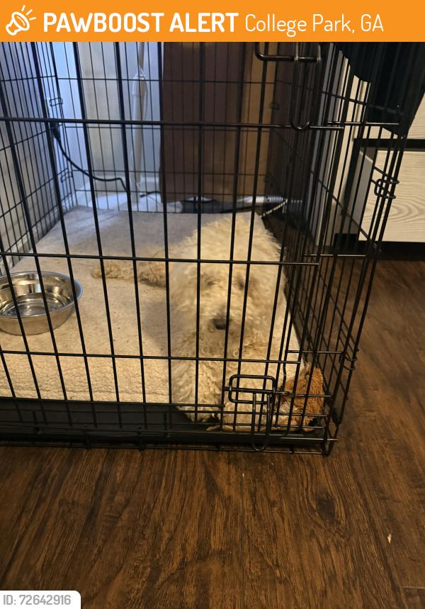 Found/Stray Unknown Dog last seen Banks Way, College Park, GA 30337