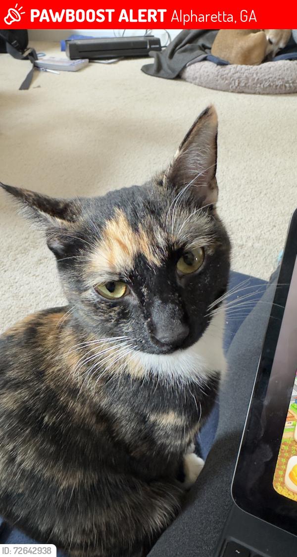 Lost Female Cat last seen Nesbit Ferry and Holcomb Bridge , Alpharetta, GA 30022