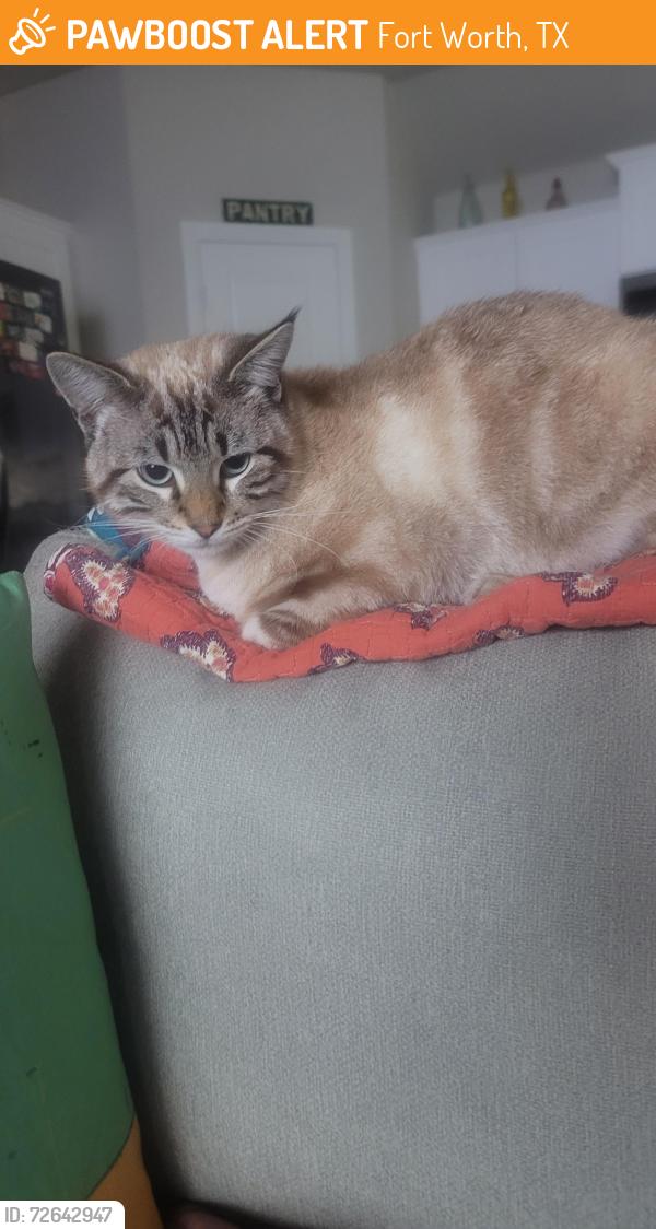Found/Stray Male Cat last seen Ranger Hill Ave, Fort Worth, TX 76108