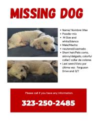 Lost Male Dog last seen Ferguson dr. & concourse, Commerce, CA 90022