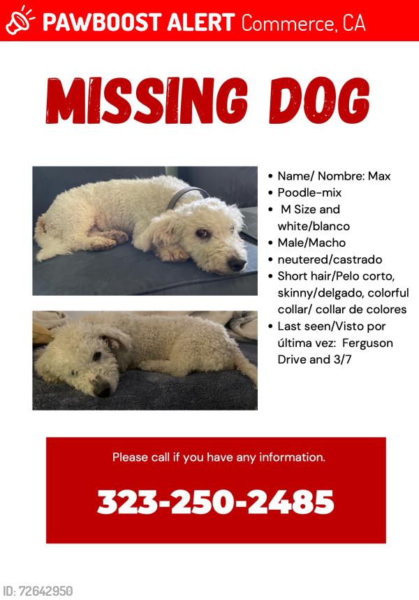 Lost Male Dog last seen Ferguson dr. & concourse, Commerce, CA 90022