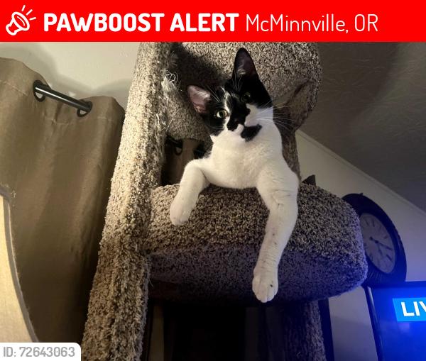 Lost Female Cat last seen Heather Manor MHP on Bennet Rd Near Hembree, McMinnville, OR 97128