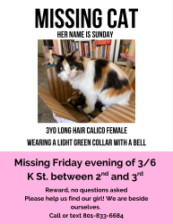 Lost Female Cat last seen 2nd Ave, 3rd Ave , Salt Lake City, UT 84103
