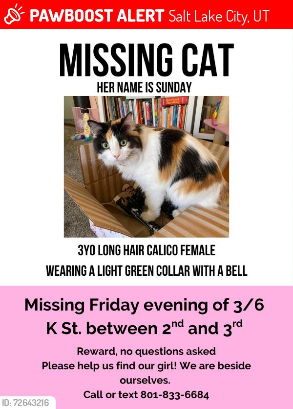 Lost Female Cat last seen 2nd Ave, 3rd Ave , Salt Lake City, UT 84103