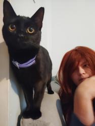 Lost Female Cat last seen Whitset climax st Graham recreation center , Graham, NC 27253