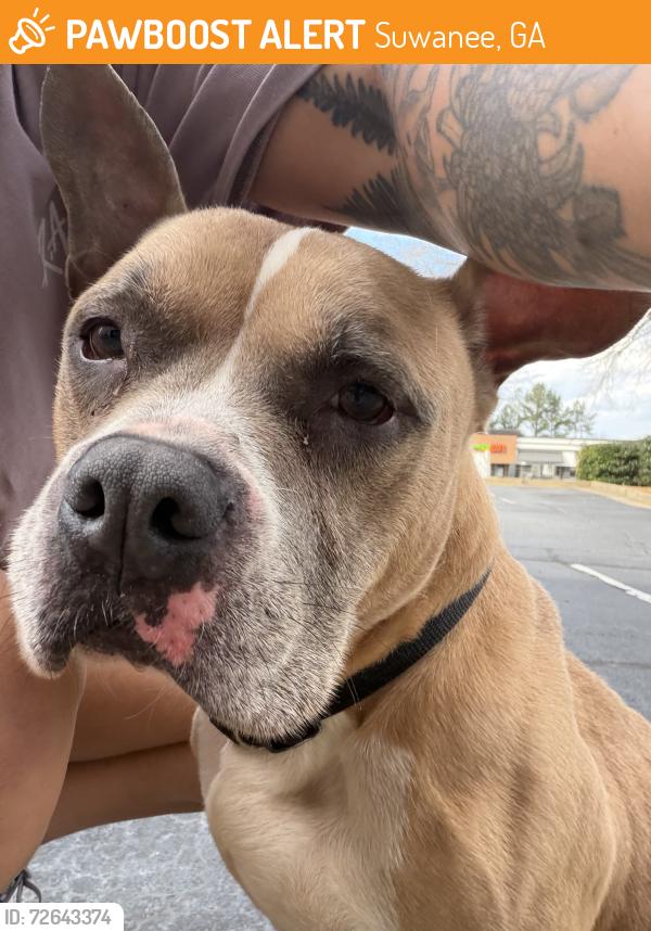 Found/Stray Male Dog last seen By axat CrossFit gym , Suwanee, GA 30024