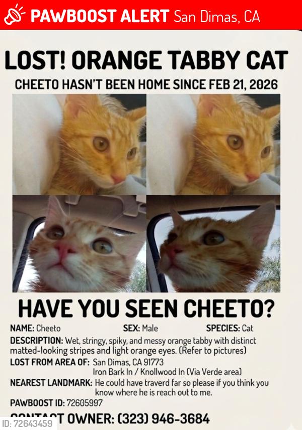 Lost Male Cat last seen Via verde, San Dimas, CA 91773