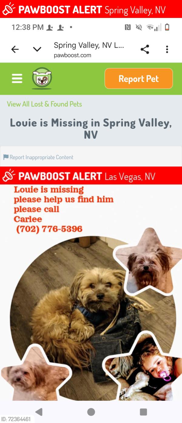 Lost Male Dog last seen Spring mtn and buffalo, Spring Valley, NV 89147