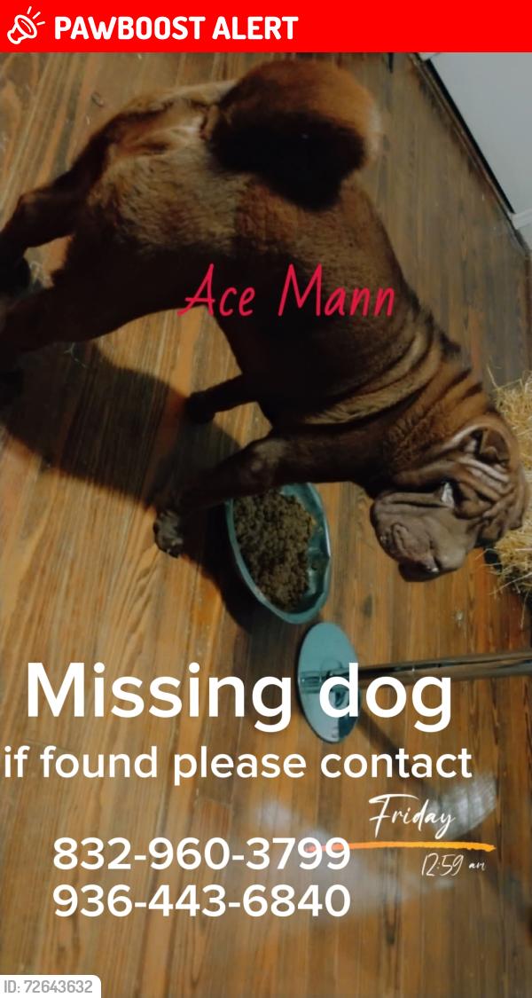 Lost Male Dog last seen Old houston , Montgomery County, TX 77302