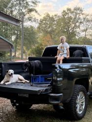 Lost Female Dog last seen Near near the piggly wiggly we live in aspen ridge , Prattville, AL 36067