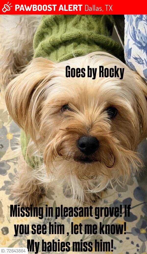Lost Male Dog last seen Prichard, Dallas, TX 75217