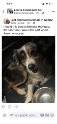 Found/Stray Male Dog last seen Edmond hwy, South Congaree, SC 29172
