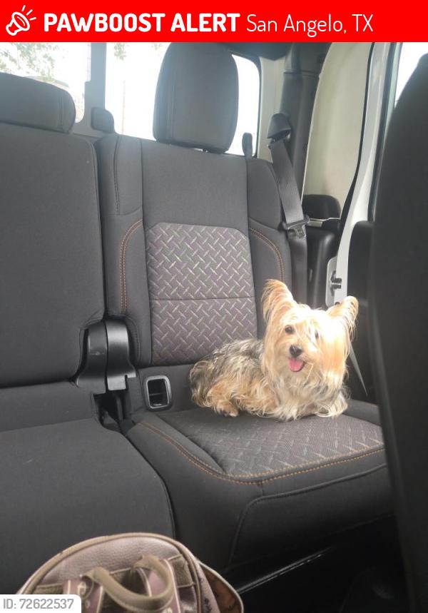 Lost Male Dog last seen Goodfellow rec camp, San Angelo, TX 76904