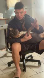 Lost Female Dog last seen 3rd street, Albuquerque, NM 87104