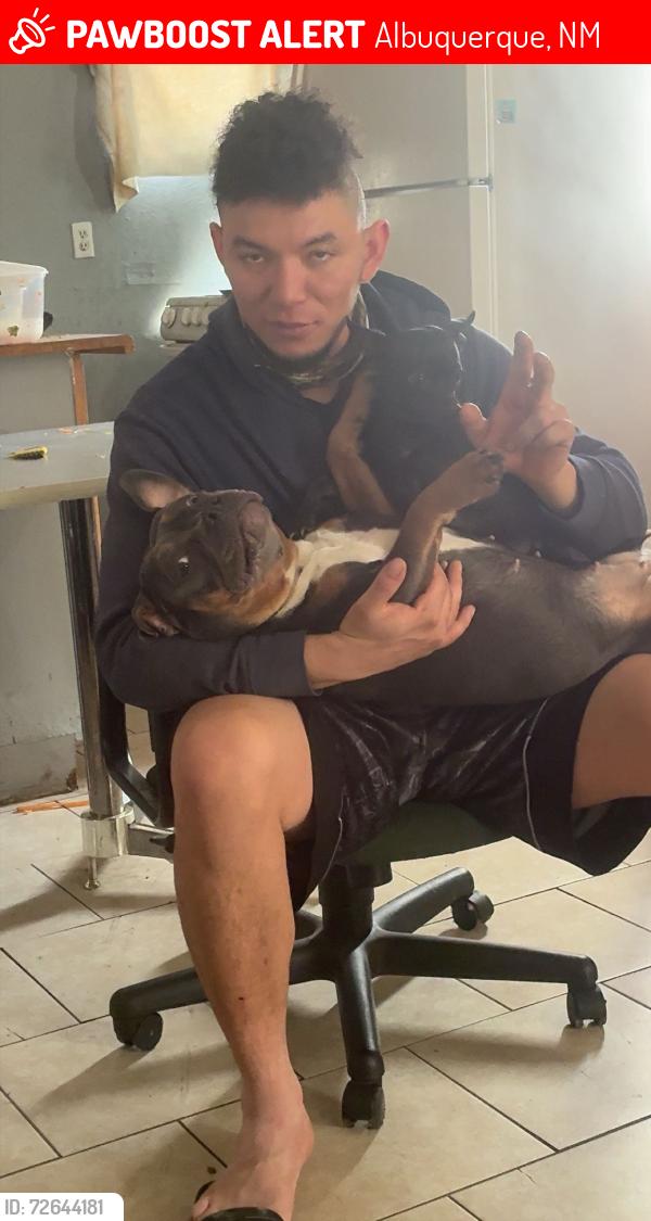 Lost Female Dog last seen 3rd street, Albuquerque, NM 87104